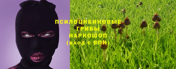 прущая мука Белоозёрский