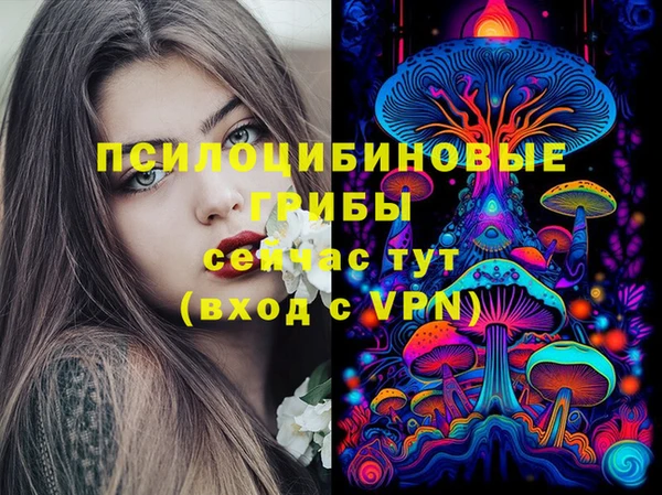 ALPHA-PVP Богданович