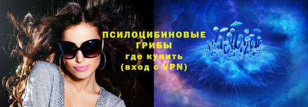 бутират Белокуриха