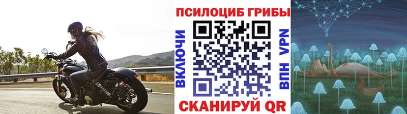 где найти наркотики  Шагонар  Псилоцибиновые грибы мухоморы 